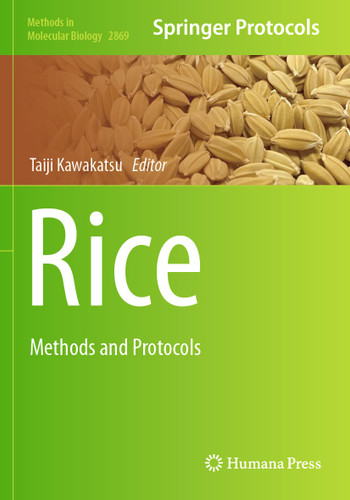 Rice: Methods and Protocols (Methods in Molecular Biology #2869) book cover by 