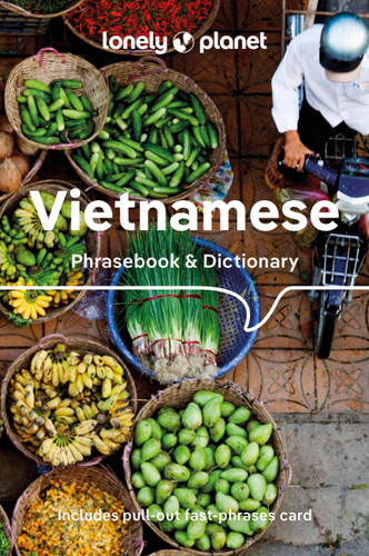 Lonely Planet Vietnamese Phrasebook & Dictionary (Phrasebook) book cover by Lonely Planet