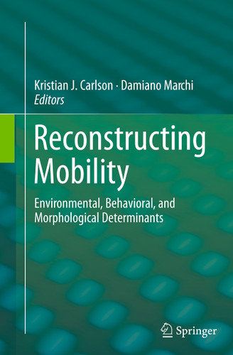Reconstructing Mobility: Environmental, Behavioral, and Morphological Determinants book cover by 