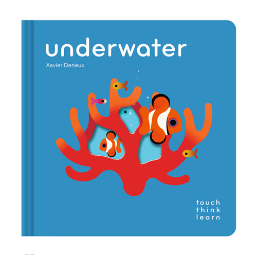 TouchThinkLearn: Underwater (Touch Think Learn) book cover by Xavier Deneux