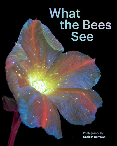 What the Bees See: A Honeybee's Eye View of the World book cover by Craig P. Burrows