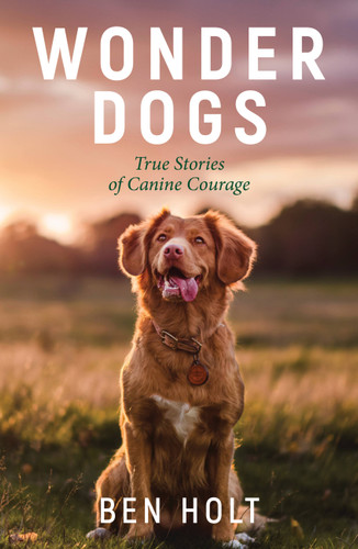 Wonder Dogs: True Stories of Canine Courage book cover by Ben Holt