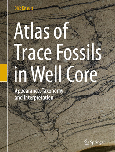 Atlas of Trace Fossils in Well Core: Appearance, Taxonomy and Interpretation book cover by Dirk Knaust