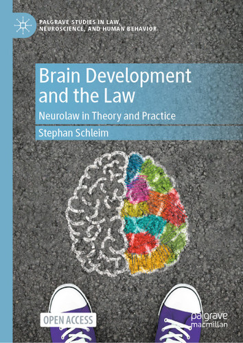 Brain Development and the Law: Neurolaw in Theory and Practice (Palgrave Studies in Law, Neuroscience, and Human Behavior) book cover by Stephan Schleim