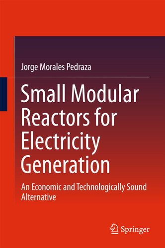 Small Modular Reactors for Electricity Generation: An Economic and Technologically Sound Alternative book cover by Jorge Morales Pedraza