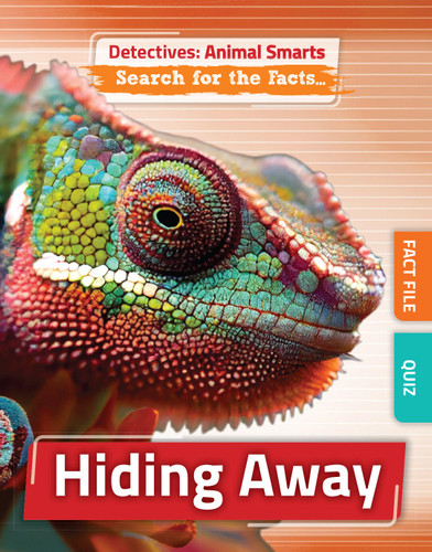 Hiding Away book cover by Anne O'Daly