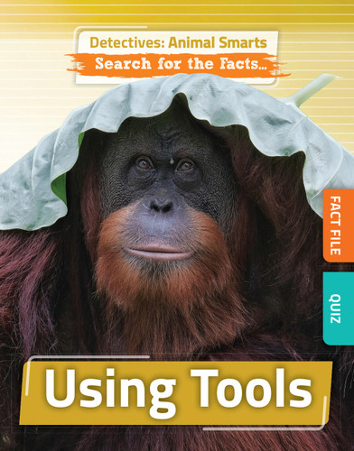Using Tools book cover by Anne O'Daly