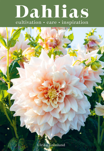 Dahlias: Inspiration, Cultivation and Care for 222 Varieties book cover by Ulrika Grönlund