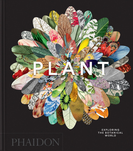 Plant: Exploring the Botanical World (Phaidon Compacts) book cover by Phaidon Editors