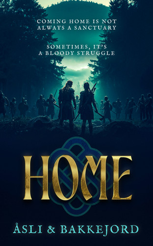 Home (Viking Ventures #4) book cover by Ole Åsli, Tony Bakkejord