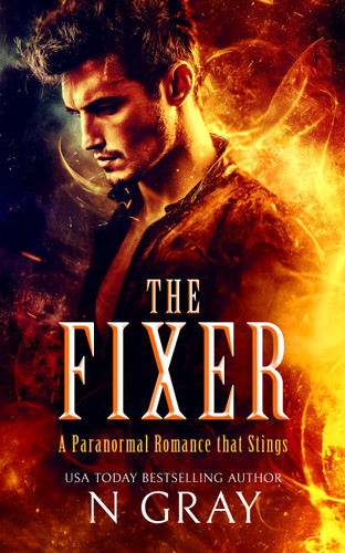 The Fixer: A paranormal romance that stings! (Shifter Days, Vampire Nights & Demons in between #7) book cover by N Gray