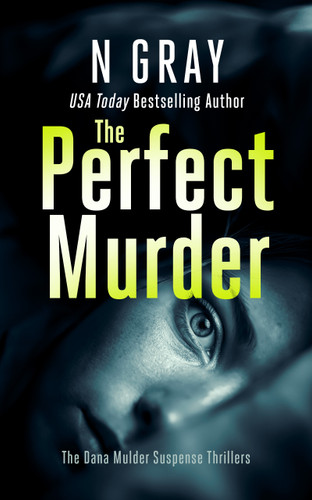 The Perfect Murder: A dark, addictive romantic thriller book cover by N Gray