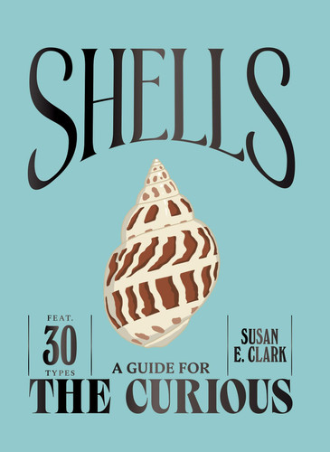 Shells (A Guide For the Curious) book cover by Susan E. Clark