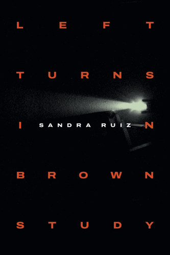 Left Turns in Brown Study (Writing Matters!) book cover by Sandra Ruiz