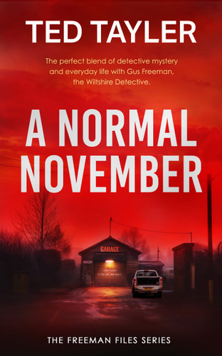 A Normal November: A Cold Case Murder Mystery Series book cover by Ted Tayler