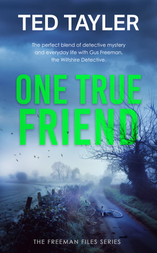 One True Friend: A Cold Case Murder Mystery Series book cover by Ted Tayler
