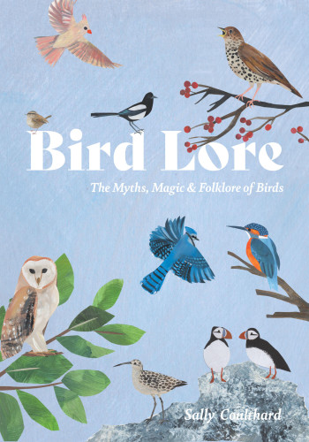 Bird Lore: The Myths, Folklore and Meaning of Birds book cover by Sally Coulthard