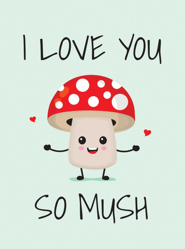 I Love You So Mush: Punderful Ways to Say "I Love You" book cover by Summersdale Publishers