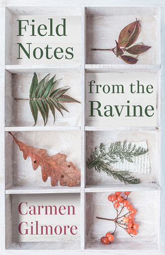 Field Notes from the Ravine book cover by Carmen Gilmore