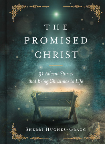 The Promised Christ: 31 Advent Stories that Bring Christmas to Life book cover by Sherri Hughes-Gragg