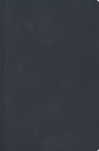 RVR 1960 Biblia Descubre tu fe, gris azulado, símil piel book cover by 