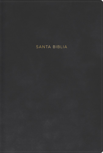 RVR 1960 Biblia letra grande, tamaño manual, gris, símil piel book cover by 