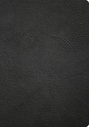 CSB Apologetics Study Bible, Revised & Updated, Easy-to-Read Optimal Type, Black Genuine Leather, Indexed book cover by CSB Bibles by Holman