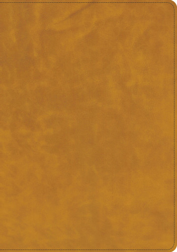 CSB Lumen Dei Bible, Lux Vitae: Single-Column Verse-by-Verse Reference Edition, Holman Handcrafted Collection, Easy-to-Read Optimal Type, Tuscany Premium Calfskin (Holman Handcrafted Collection) book cover by CSB Bibles by Holman