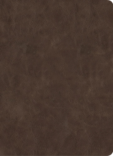 CSB Lumen Dei Bible, Lux Gloriae: Single-Column Wide-Margin Edition, Holman Handcrafted Collection, Easy-to-Read Optimal Type, Marbled Brown Premium Goatskin (Holman Handcrafted Collection) book cover by CSB Bibles by Holman