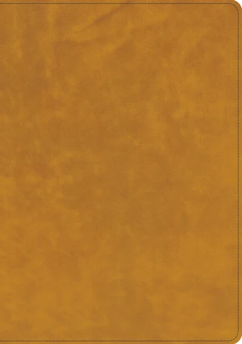CSB Lumen Dei Bible, Lux Gloriae: Single-Column Wide-Margin Edition, Holman Handcrafted Collection, Easy-to-Read Optimal Type, Tuscany Premium Calfskin (Holman Handcrafted Collection) book cover by CSB Bibles by Holman