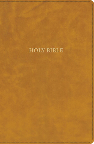 CSB Grace Bible, Camel LeatherTouch (Dyslexia Friendly) book cover by 2K/DENMARK, CSB Bibles by Holman