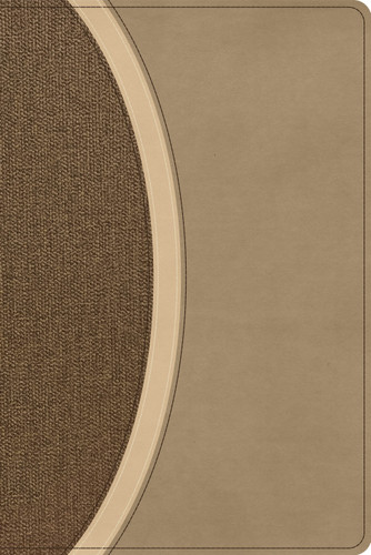 CSB Rainbow Study Bible, Brown LeatherTouch book cover by CSB Bibles by Holman