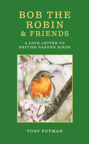 Bob the Robin & Friends: A Love Letter to British Garden Birds book cover by Tony Putman