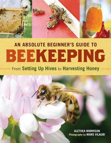 An Absolute Beginner's Guide to Beekeeping: From Setting Up Hives to Harvesting Honey book cover by Alethea Morrison