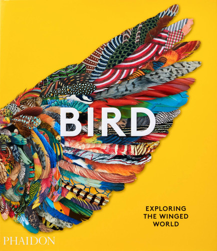 Bird: Exploring the Winged World book cover by Phaidon Editors