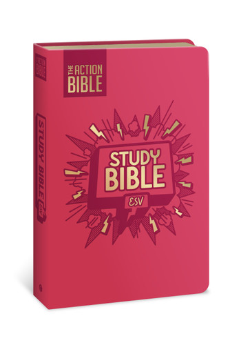 The Action Bible Study Bible ESV, Leathersoft, Pink, Full Color (Action Bible Series) book cover by 