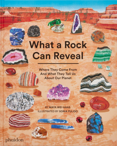 What a Rock Can Reveal: Where They Come From And What They Tell Us About Our Planet book cover by Maya Wei-Haas