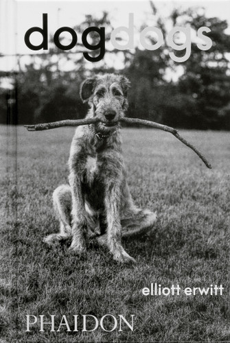 DogDogs book cover by 