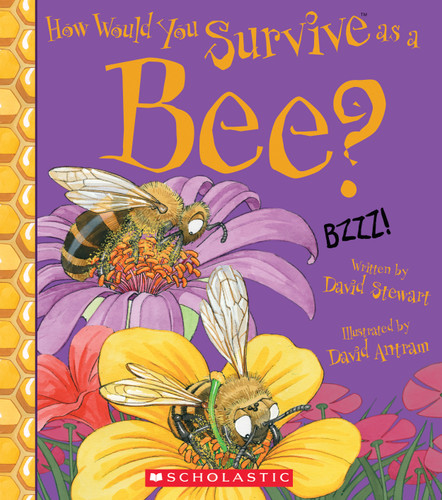 How Would You Survive as a Bee? (How Would You Survive?) book cover by David Stewart