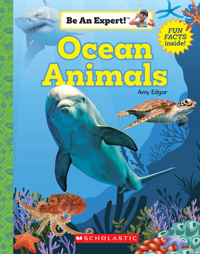 Ocean Animals (Be An Expert!) (Be an Expert!) book cover by Amy Edgar