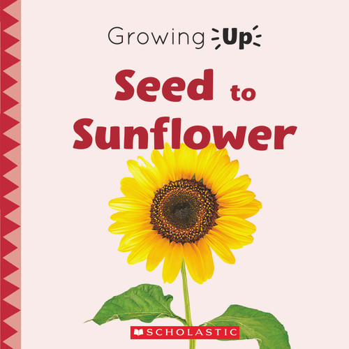 Seed to Sunflower (Growing Up) (Growing Up) book cover by Lisa M. Herrington