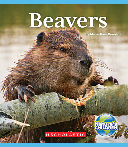 Beavers (Nature's Children) (Nature's Children, Fourth Series) book cover by Moira Rose Donohue