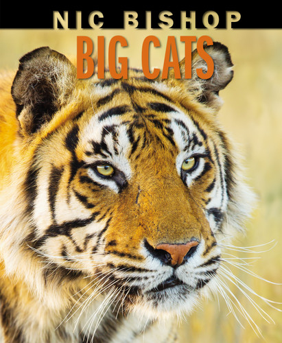 Nic Bishop Big Cats book cover by Nic Bishop