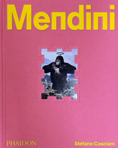Alessandro Mendini: Imagination Takes Command book cover by Stefano Casciani