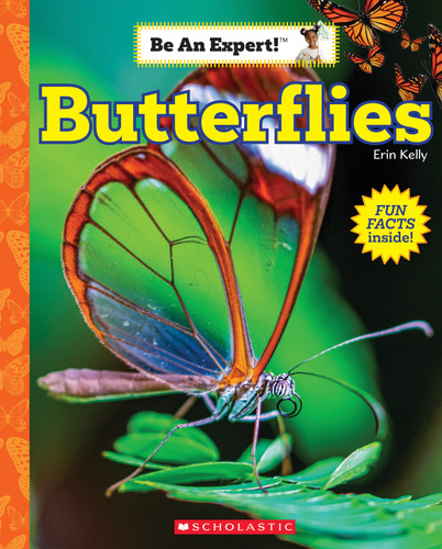 Butterflies (Be an Expert!) (Be an Expert!) book cover by Erin Kelly