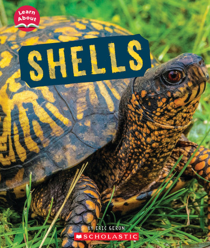 Shells (Learn About: Animal Coverings) (Learn About) book cover by Eric Geron