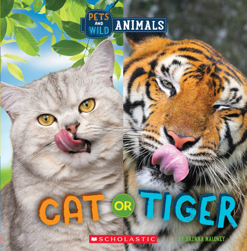 Cat or Tiger (Wild World: Pets and Wild Animals) (Wild World) book cover by Brenna Maloney