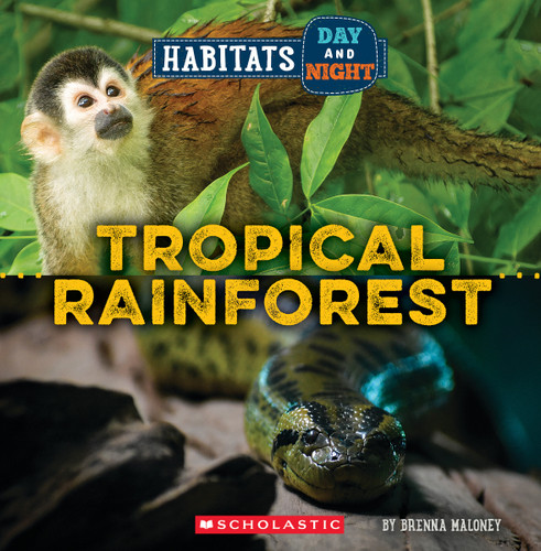Tropical Rainforest (Wild World: Habitats Day and Night) (Wild World) book cover by Brenna Maloney