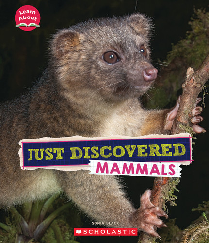 Just Discovered Mammals (Learn About: Animals) (Learn About) book cover by Sonia W. Black
