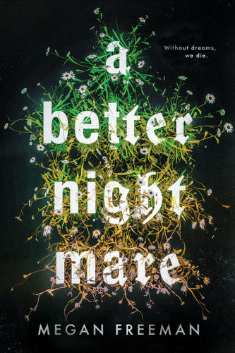 A Better Nightmare book cover by Megan Freeman